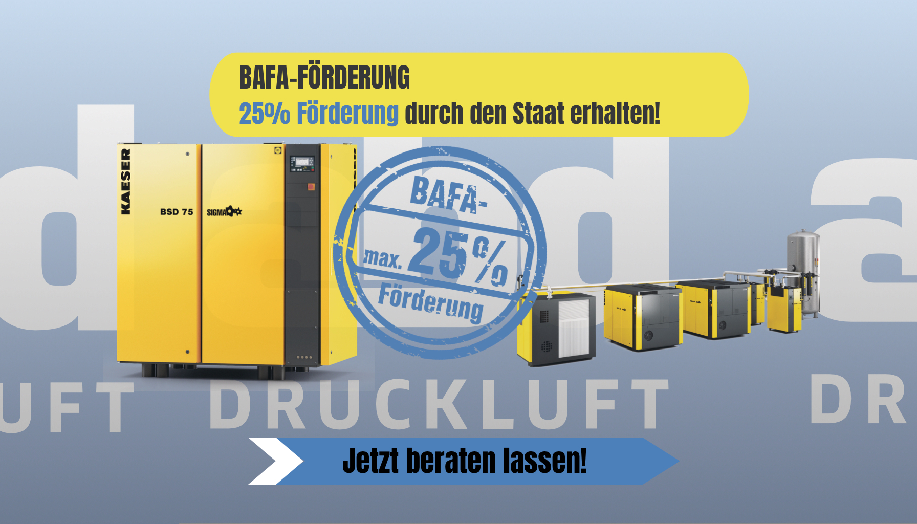 BAFA-Förderung, 25%